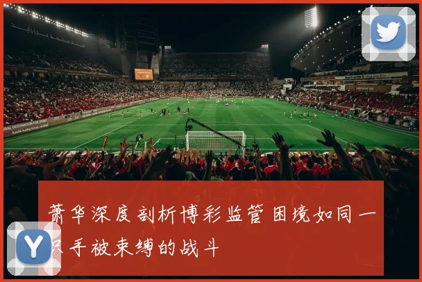 萧华深度剖析博彩监管困境如同一只手被束缚的战斗